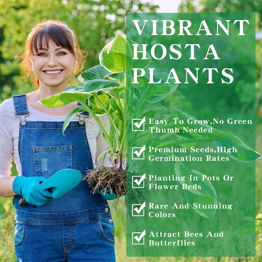 8606